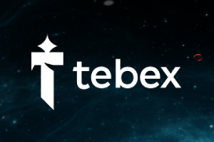 Tebex Store